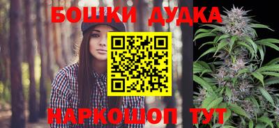 дурь Кингисепп