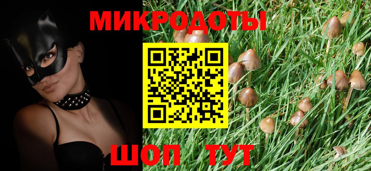 Псилоцибиновые грибы MAGIC MUSHROOMS Балашов