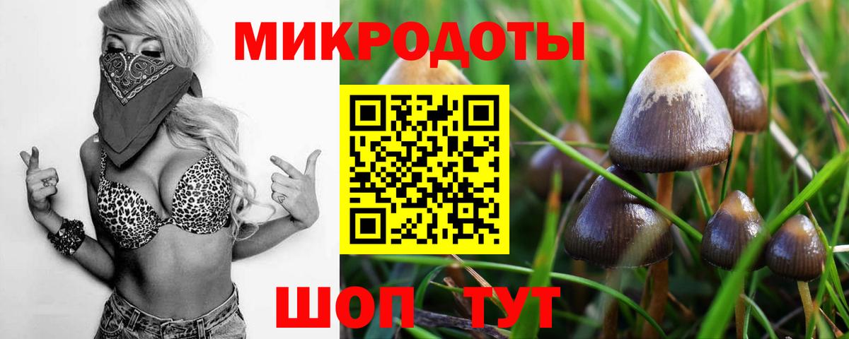 Галлюциногенные грибы прущие грибы  Вход с VPN  где купить наркотик  Балашов  Псилоцибиновые грибы мицелий 
